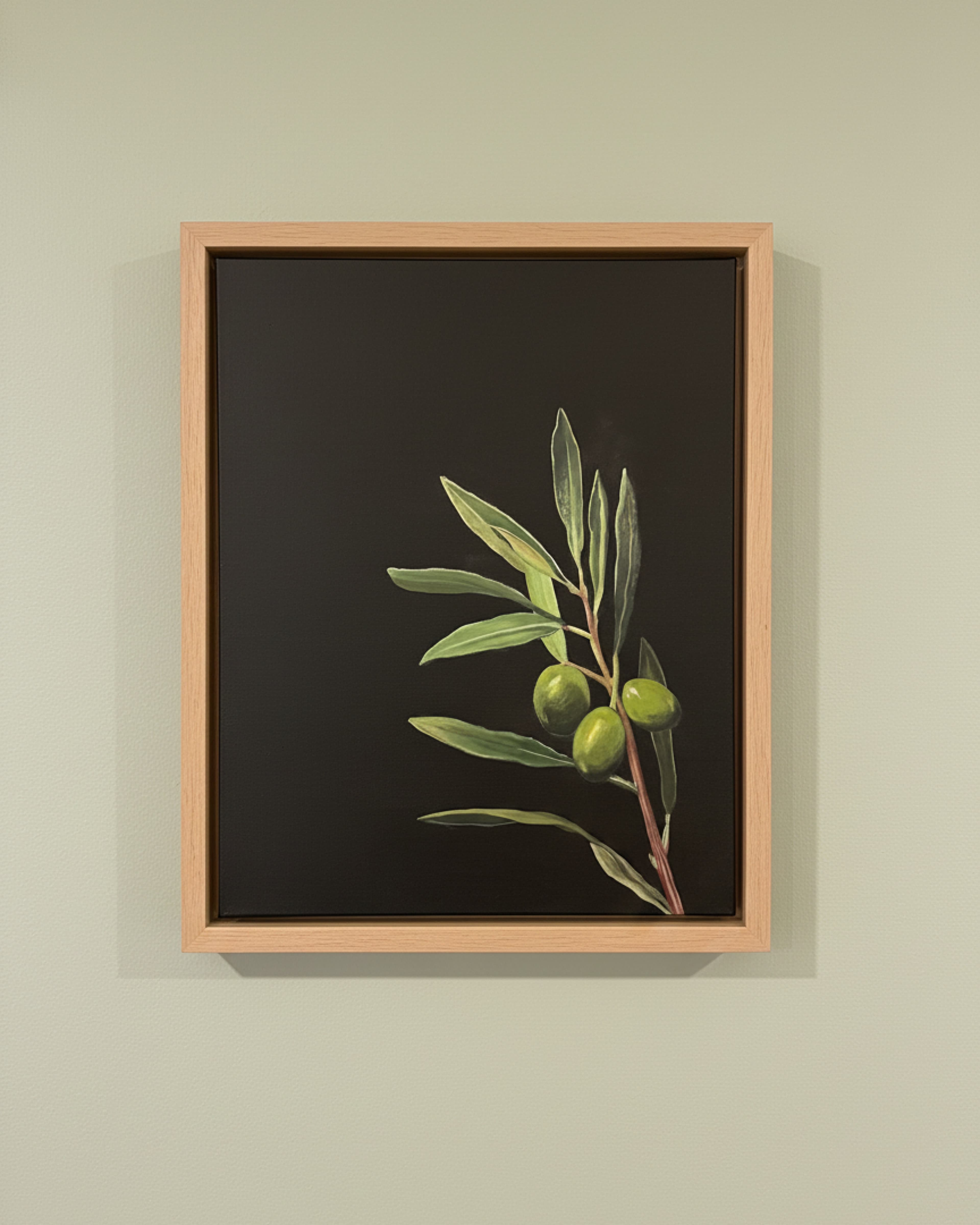 Olive Branch 2